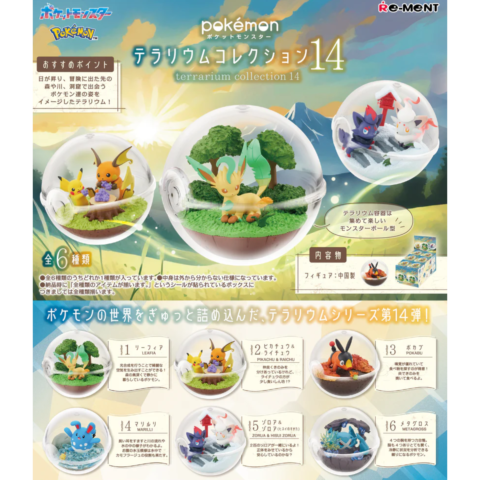 Terrarium Collection 14